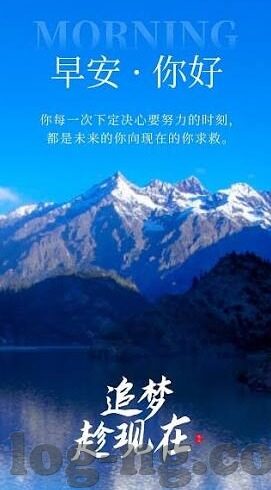电玩城森林舞会打法-电玩城森林舞会，掌握技巧，畅享欢乐